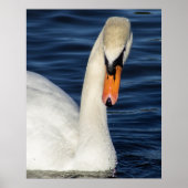 Closeup Poster (Vorne)