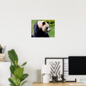 Closeup Riesenpanda aus Profil gesehen Poster (Heimbüro)