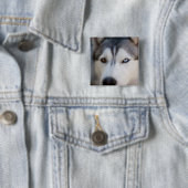 Closeup Stoic Gaze of an Alaskan Malamute Button (Beispiel)