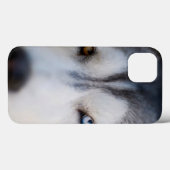 Closeup Stoic Gaze of an Alaskan Malamute Case-Mate iPhone Hülle (Rückseite (Horizontal))