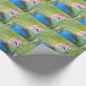Closeup turaco fischer geschenkpapier (Ecke)