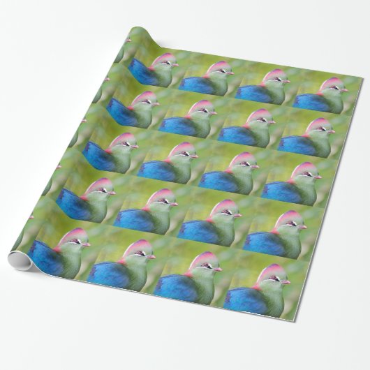 Closeup turaco fischer geschenkpapier (Ungerollt)