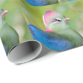 Closeup turaco fischer geschenkpapier (Rolleneckpunkt)