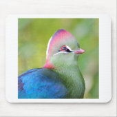 Closeup turaco fischer mousepad (Vorne)