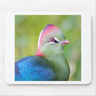 Closeup turaco fischer mousepad