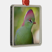 Closeup turaco fischer ornament aus metall (Rechts)