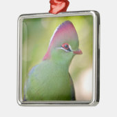 Closeup turaco fischer ornament aus metall (Links)