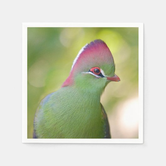 Closeup turaco fischer serviette (Vorderseite)