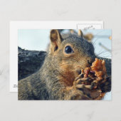 Closeup Yummy Postkarte (Vorne/Hinten)