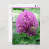 Cloud Art Postkarte (Vorne/Hinten)