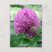 Cloud Art Postkarte (Vorderseite)