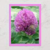 Cloud Art Postkarte (Vorderseite)