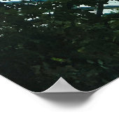 Cloud Forest Glass Dome Interior Poster (Ecke)