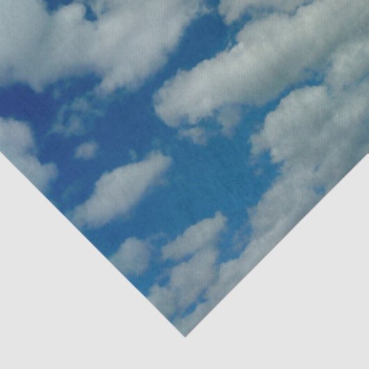 Cloud-Gewebe Seidenpapier (Ausschnitt)