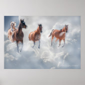 Cloud Runners Poster (Vorne)