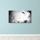 Cloud-Simulation eines Single Tag 2 Leinwanddruck (Insitu (Holzboden))