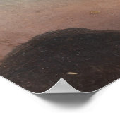 Cloud-Studie (Wolken im Himmel) (von Knud Baade) Poster (Ecke)