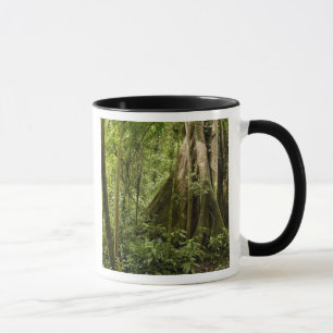 Cloud-Wald, Bosque de Paz, Costa Rica Tasse