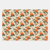 Cloudberry Geschenkpapier Set (Vorderseite 2)