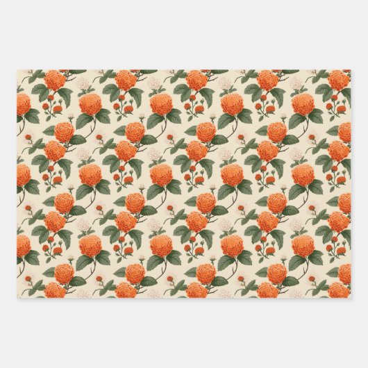 Cloudberry Geschenkpapier Set (Vorderseite 2)