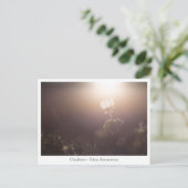 Cloudberry Nature Foto Postkarte (Stehend Vorderseite)