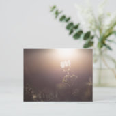 Cloudberry Naturfoto Postkarte (Stehend Vorderseite)