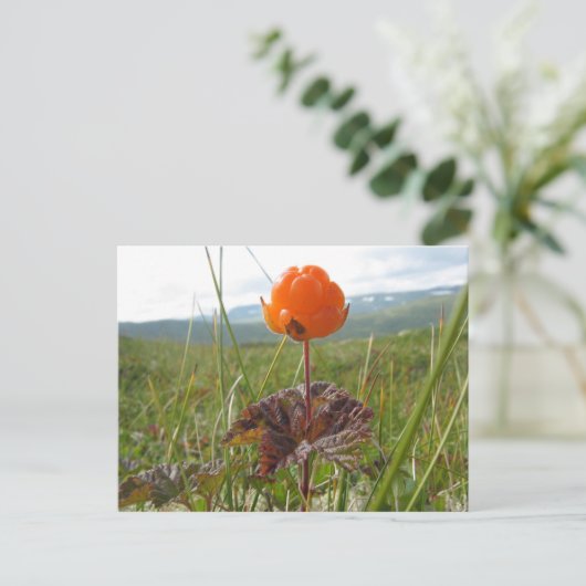 Cloudberry Postcard Postkarte (Stehend Vorderseite)