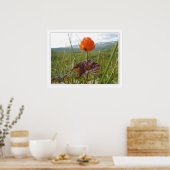 Cloudberry Poster (Küche)