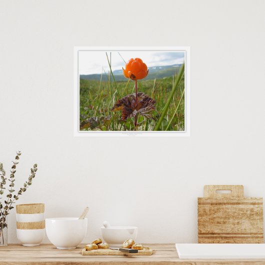 Cloudberry Poster (Küche)