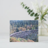 Cloudcroft New Mexico Forstbrücke Postkarte (Stehend Vorderseite)