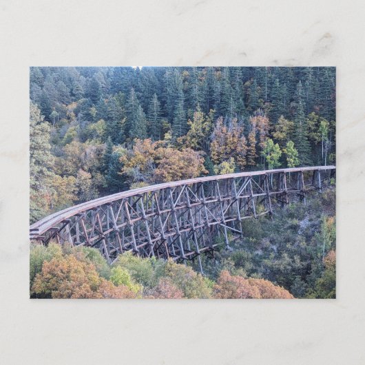 Cloudcroft New Mexico Forstbrücke Postkarte (Vorderseite)