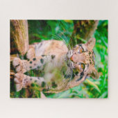 Clouded Leopard Big Cat Jigsaw Puzzle (Horizontal)