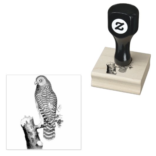 Clouded Owl on Branch Vintag Illustration Gummistempel (Stempel)