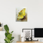 Clouded Sulfur Butterfly Art Print Poster (Heimbüro)