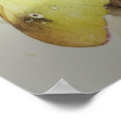 Clouded Sulfur Butterfly Art Print Poster (Ecke)