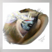 Clouded Vision Poster (Vorne)