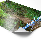 Cloudland Canyon Staat Park Foto Print (Ecke)