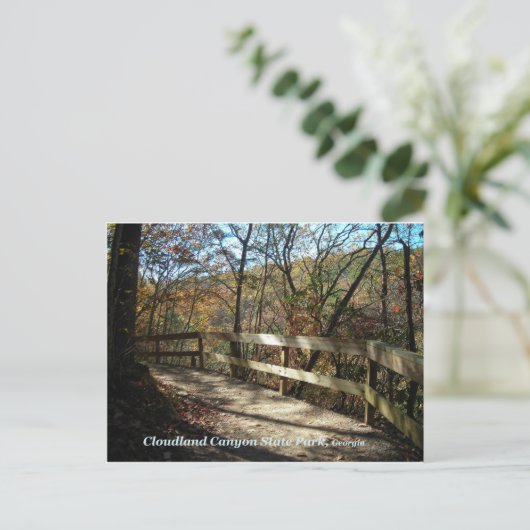 Cloudland Canyon State Park Pathway Postcard Postkarte (Stehend Vorderseite)