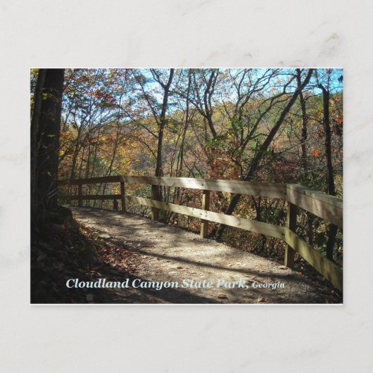 Cloudland Canyon State Park Pathway Postcard Postkarte (Vorderseite)
