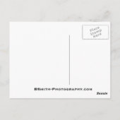 Cloudland Falls Postkarte (Rückseite)