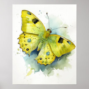 Cloudless Sulfur Butterfly Art Print Poster