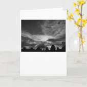 Cloudscape/Noir, Karte (Gelbe Blume)