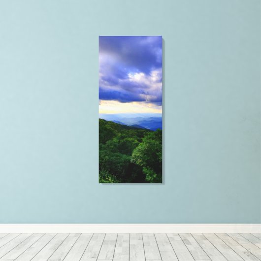 Cloudy Blue Ridge Mountains Leinwanddruck (Insitu (Holzboden))