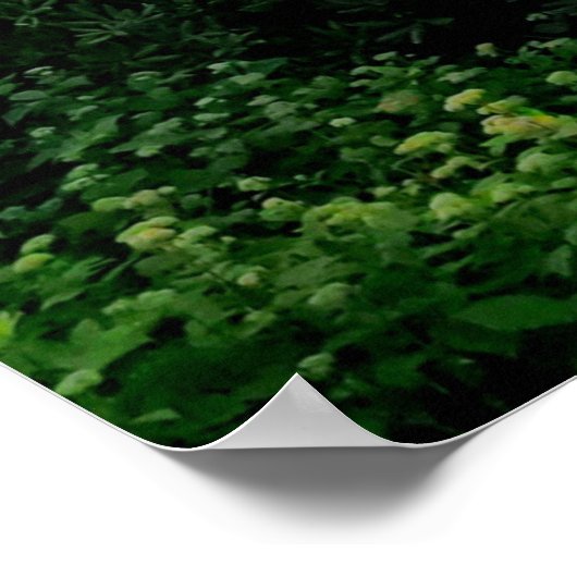 Cloudy Blue Ridge Mountains Poster (Ecke)