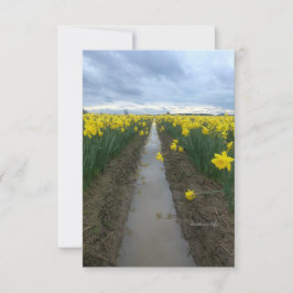 Cloudy Day Daffodis Mitteilungskarte
