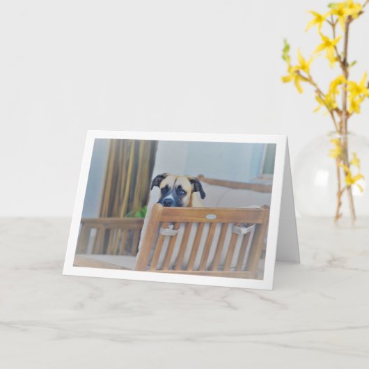 Cloudy Dog Portrait Karte (Gelbe Blume)