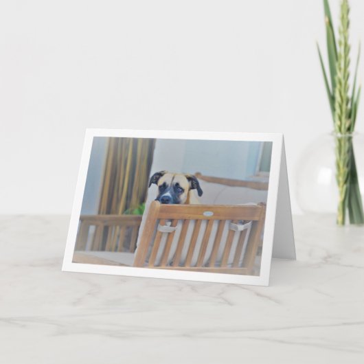 Cloudy Dog Portrait Karte (Vorderseite)