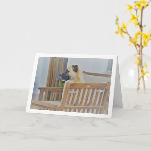 Cloudy Dog Portrait Karte (Gelbe Blume)