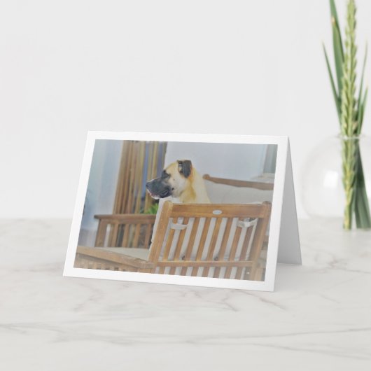 Cloudy Dog Portrait Karte (Vorderseite)