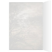 Cloudy Sun Scene (Innen (Links))